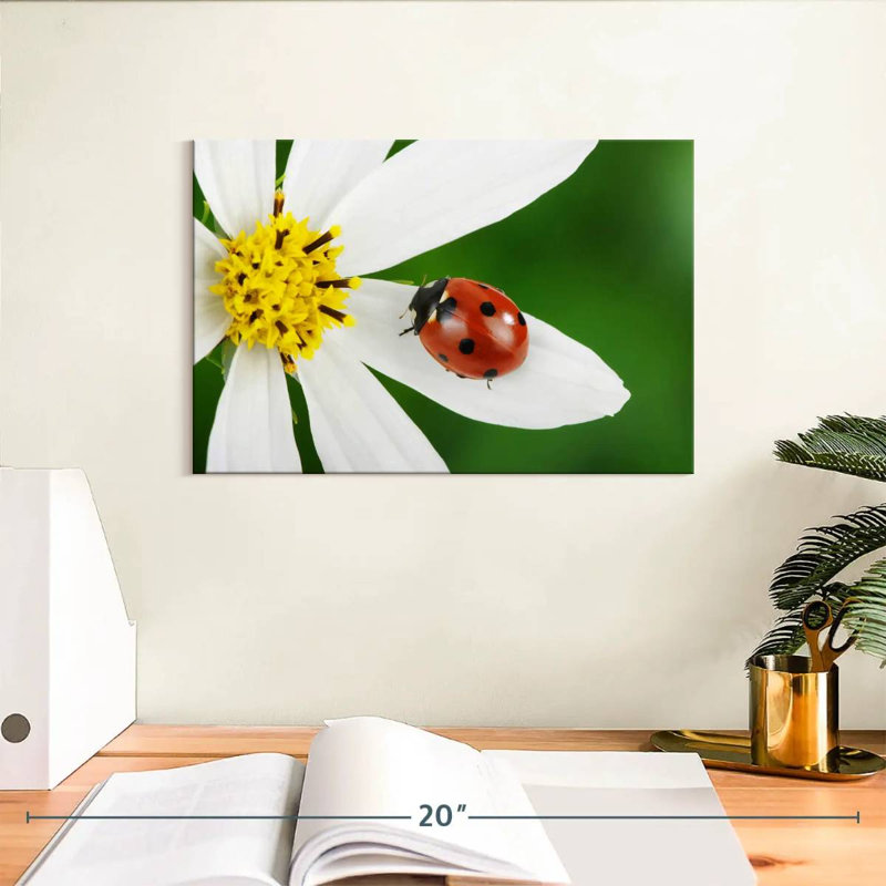 Brampt Ladybug On White Flower, 8" H x 12" W