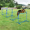 Dog Agility Course Equipment Collection Bundle: 4 Jump With Adjustable Heights, Fixed Bottom Bar, And Included Carrying Bag, Blue, 39" L Kit: