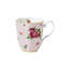 Royal Albert New Country Roses Bone China Coffee Mug