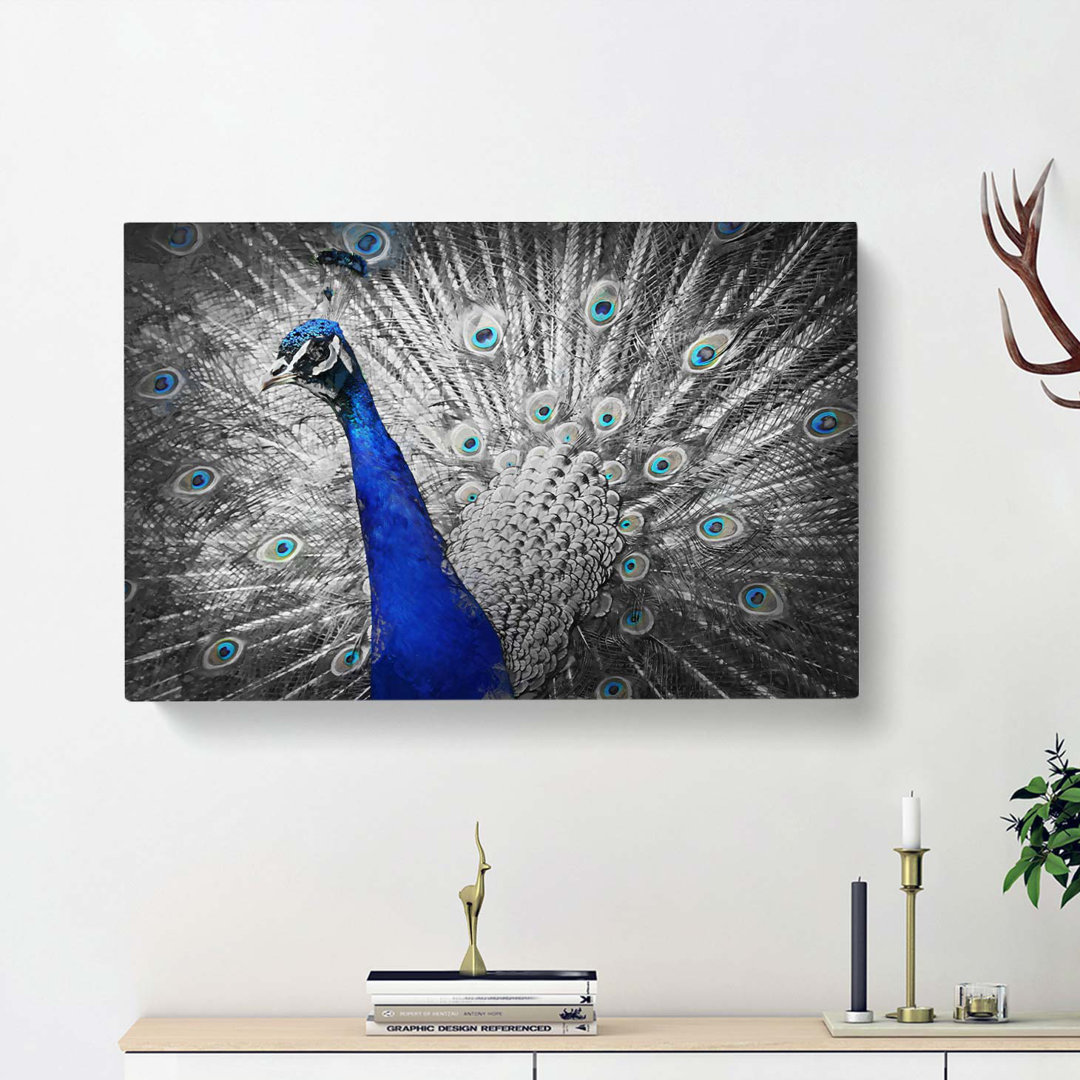 Peacock With Its Feathers Spread - Wrapped Canvas