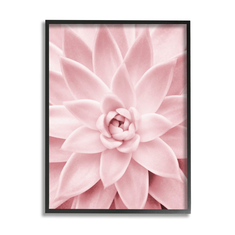 Art mural sur toile Stupell Industries, Giclée encadrée noir minuit, H 14 po x l 11 po x P 1,5 po
