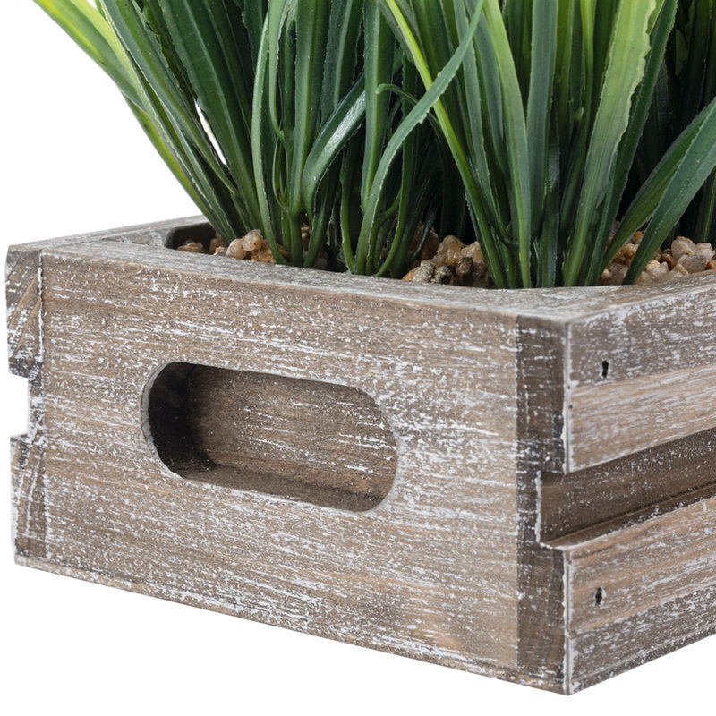 Jerrold 14 cm Artificial Grass in Planter