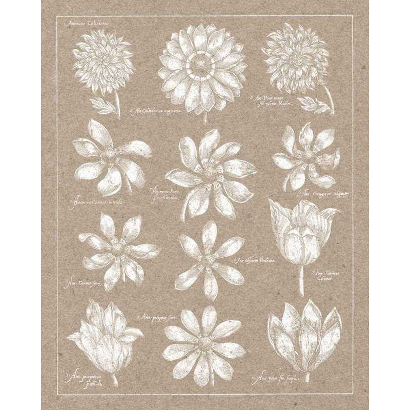 Art sur toile tendue avec galerie Lark Manor ™ Wild Apple, H 44 po x l 36 po