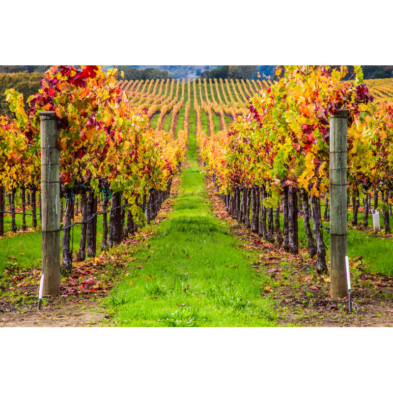 Wrapped Canvas Print, 30cm H x 46cm W x 3.8cm D