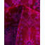 Neville One-of-a-Kind 8' 2" X 10' 4" Hand Knotted Area Rug