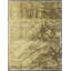 Flatweave Cotton Yellow Area Rug-53932240