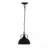 D10.4X11.4" Hanging Lamp,Metal