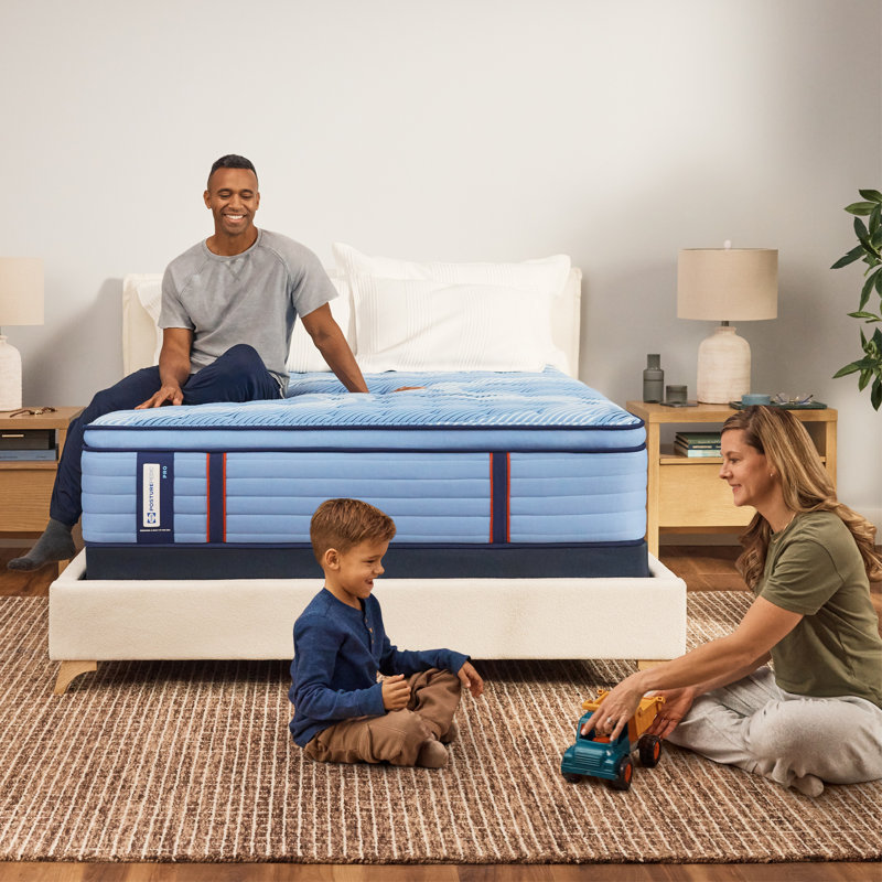 Sealy Posturepedic® Pro Fairwind 15" Firm Pillowtop Innerspring Mattress, Queen