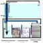 Aquariums semi-circulaires à filtre inférieur avec barre supérieure-439168962-439168964