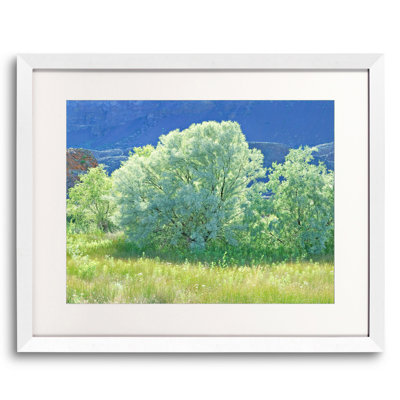 Spring Russian Olive Tree Design Print by Bruce Heinemann