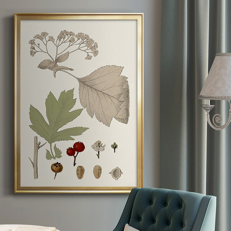 Feuilles et baies II sur papier, Or, H 42,5 po x l 30,5 po x P 1 po