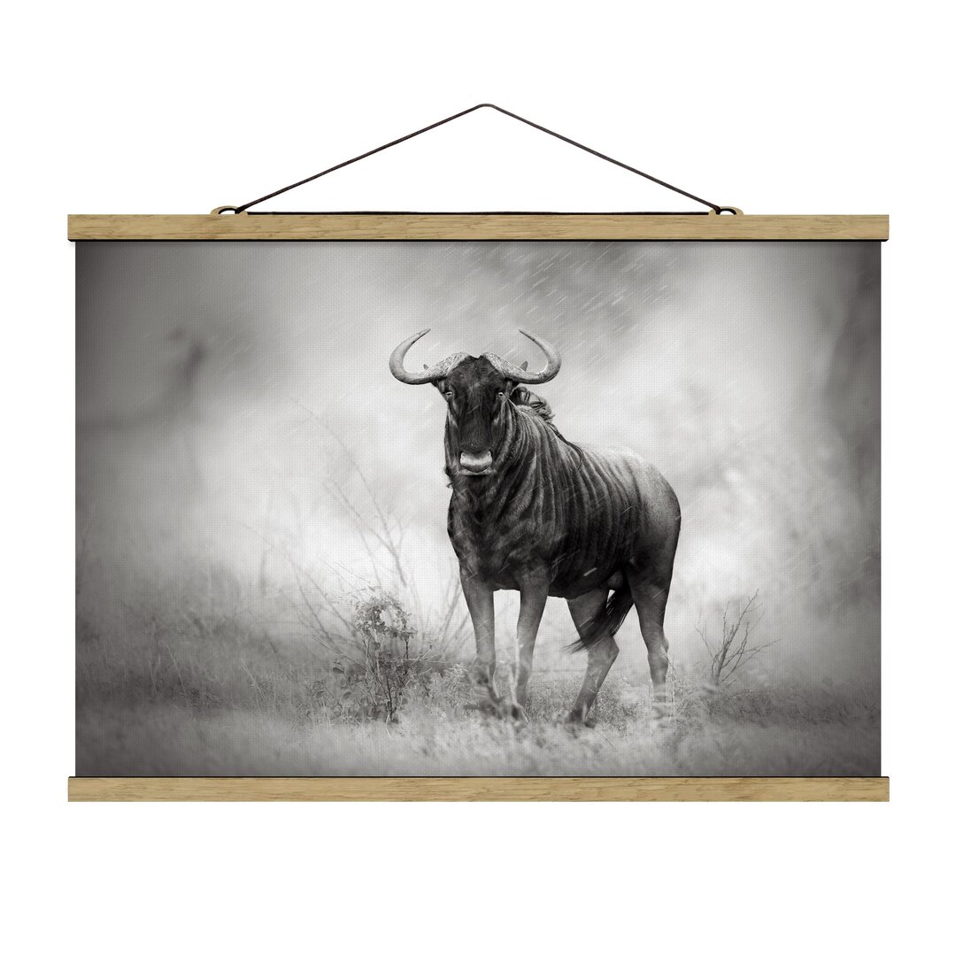 Grafikdruck Staring Wildebeest