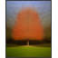 Persistence by Laura Zimmerman - Framed Wall Art-1529026734-1529026735