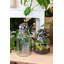 Terrarium en verre Alyssa-623669136