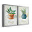 " Potted Sage " 2 - Pieces Painting Print-1781665432-1781665434