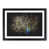 Black Framed