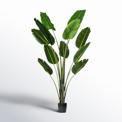 Jorah Faux Tree in Pot Liner