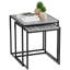 Sylvie 2 Piece Nest of Tables-713925161