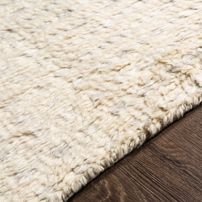 Kenady Hand Knotted Wool Indoor Rug, Rectangle 2' x 3'