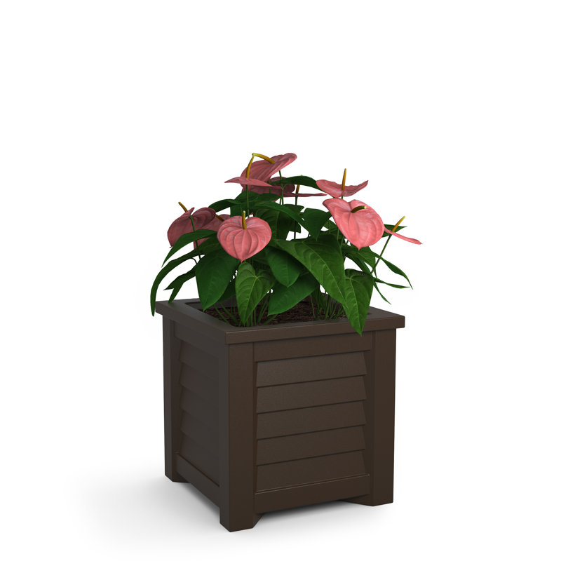 Espresso Square Resin Self-Watering Planter with Sub-Irrigation