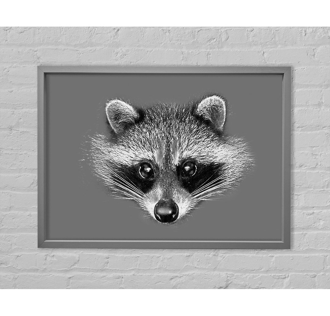 Raccoon On Grey - Einzelnes Bild auf Leinwandbild gerahmt