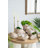 Sand And Cement Nautilus Shell Planter-1353923279