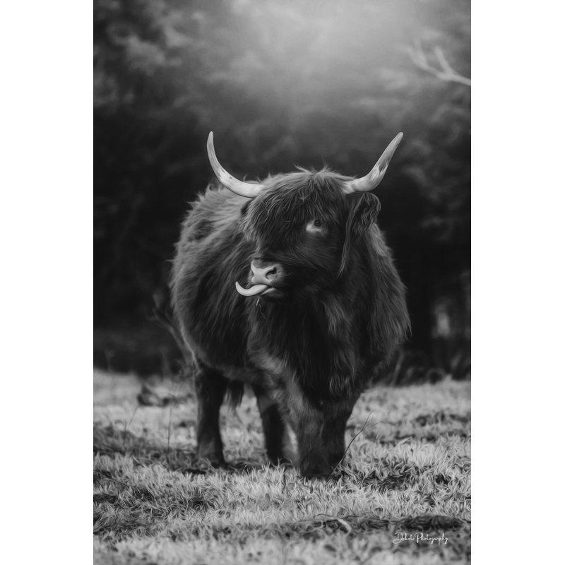 Nevo Silly Cow I par Dakota Diener, H 12 po x l 8 po