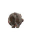 Art hippopotame-49839954-49839944