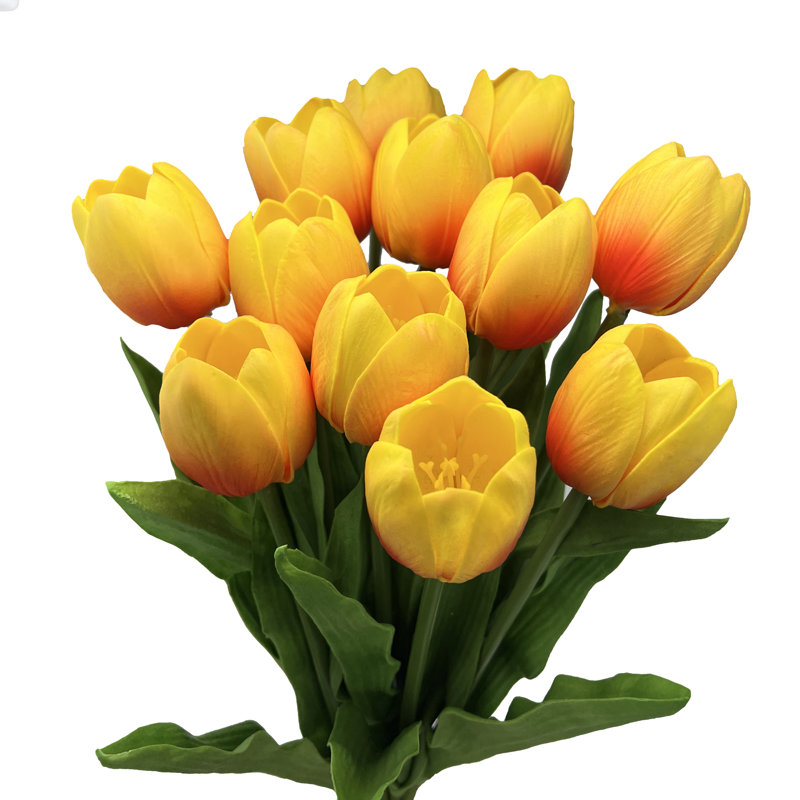 Tiges de tulipes, Orange