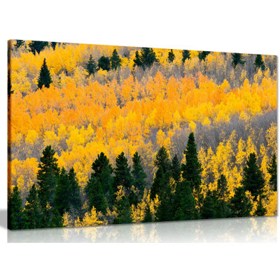 Autumn Leaves - Wrapped Canvas Print