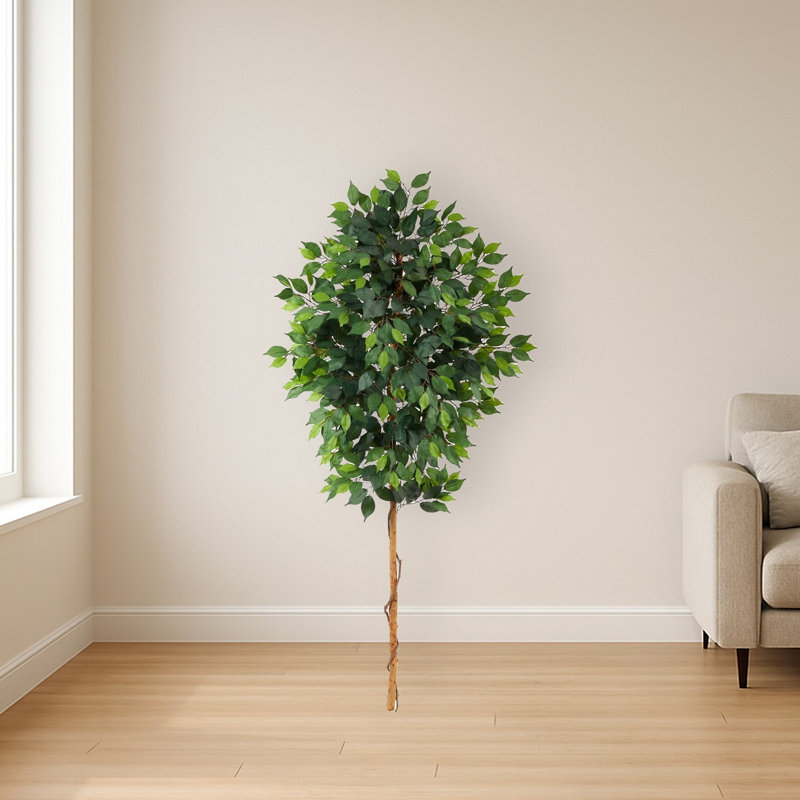 Ficus Artificial Tree