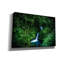«Jungle Waterfall» par Nicklas Gustafsson, art mural sur toile-2025356331