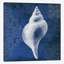 «Navy Shell I», impression sur toile-31853146-73208374-73208379