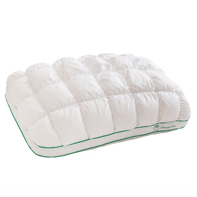 Fluffy Support Quilted Cotton Down Alternative Bed Pillow Queen Size, 1-Piece (White)