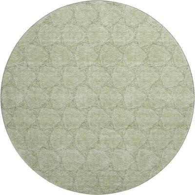 Premium Machine Washable Prisco Aloe Rug