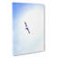 Flying Seagull Abstract Art - Wrapped Canvas-55313422