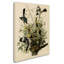 «Mocking Birds and Snake II» par John James Audubon, reproduction sur toile-1504319929