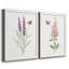«Wildflower Botanical I», ensemble de 2 reproductions d'art-923653538-808463890-923653541