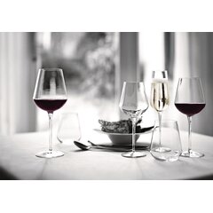 Bormioli Rocco Riserva 18.5 oz. Mature Red Wine Glasses (Set of 6)