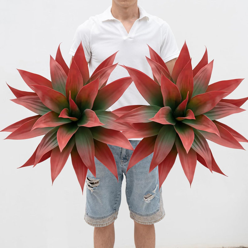 5.91cm Plant