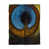 Blue Peacock Feather Center selected