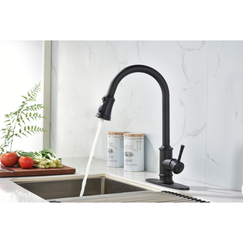 Robinet de cuisine escamotable à poignée simple à grande arche, robinets d'évier de cuisine à un niveau en acier inoxydable avec douchette extractible