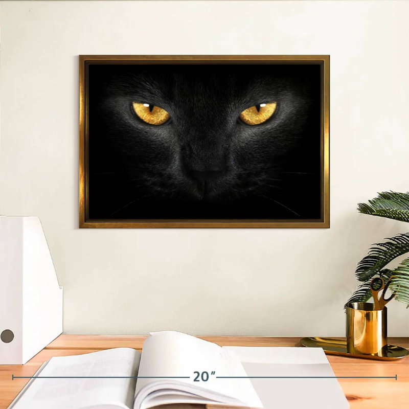 Chat aux yeux jaunes, Cadre flottant doré, 13 po x 9 po