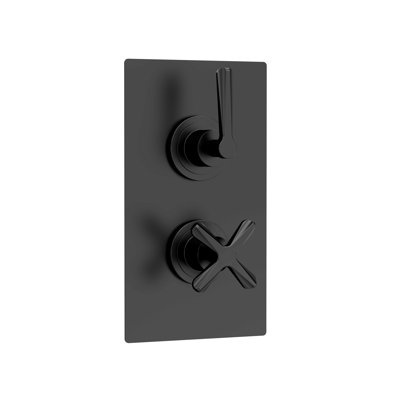 Twin Thermostatic Valve