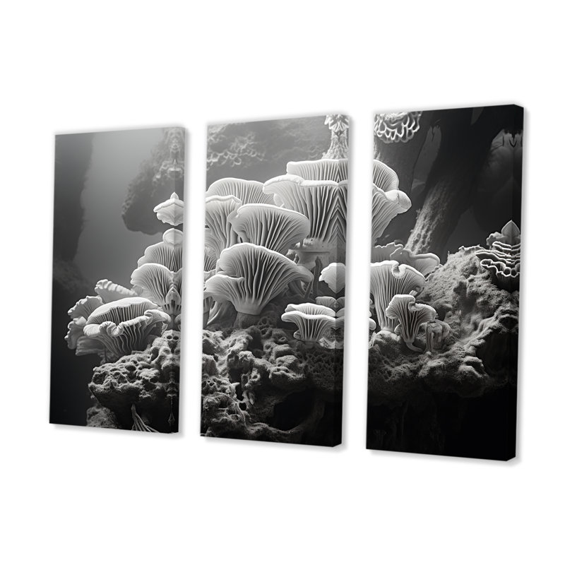 Ensemble d'art mural noir et blanc récif anémone I - Corail sous l'eau, H 32 po x l 48 po x P 1 po