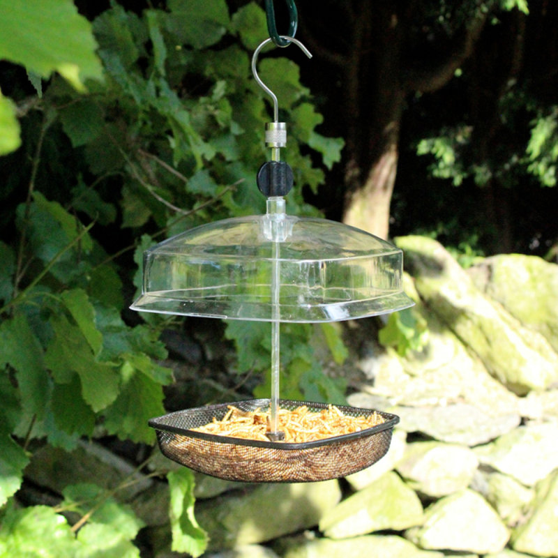 Blomkest Hanging Tray Bird Feeder