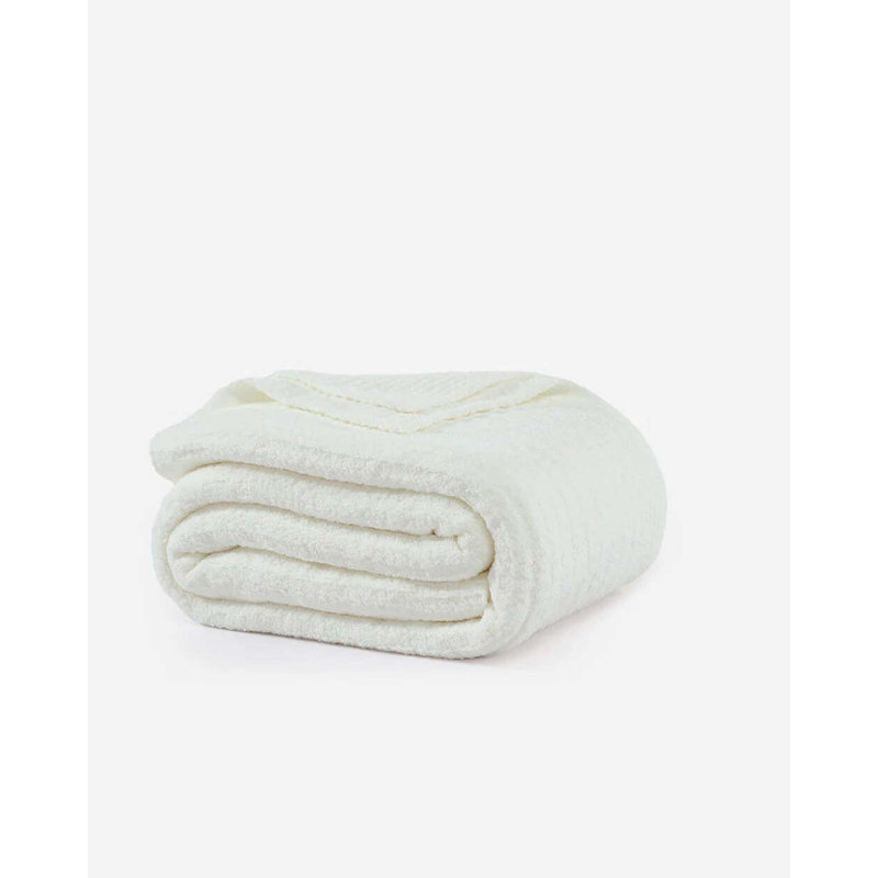 The Sharing Blanket, Queen, Biscotti