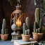 Cactus en pot-1189078704