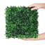 Mur d'herbe - 10 po-2042792655