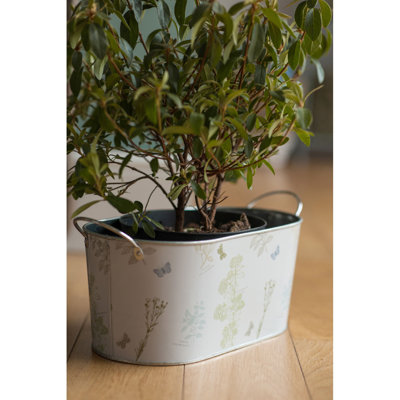 French Garden Metal Cachepot